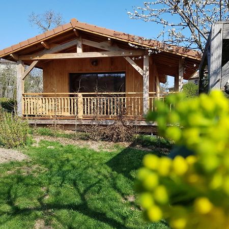 La Cabane Du Jardin Bongheat Eksteriør billede