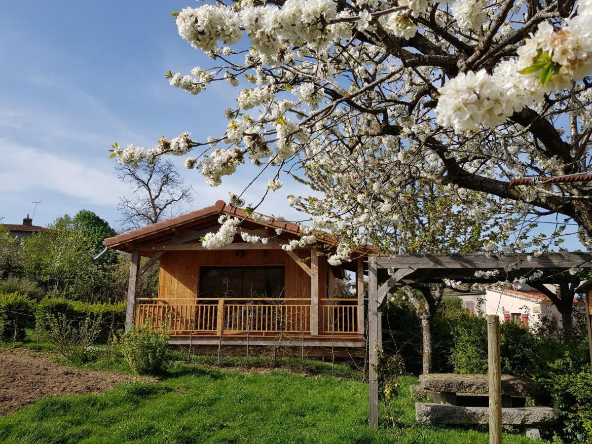 La Cabane Du Jardin Bongheat Eksteriør billede