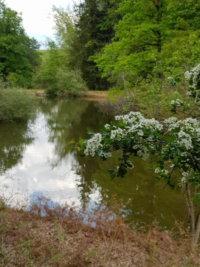 La Cabane Du Jardin Bongheat Eksteriør billede